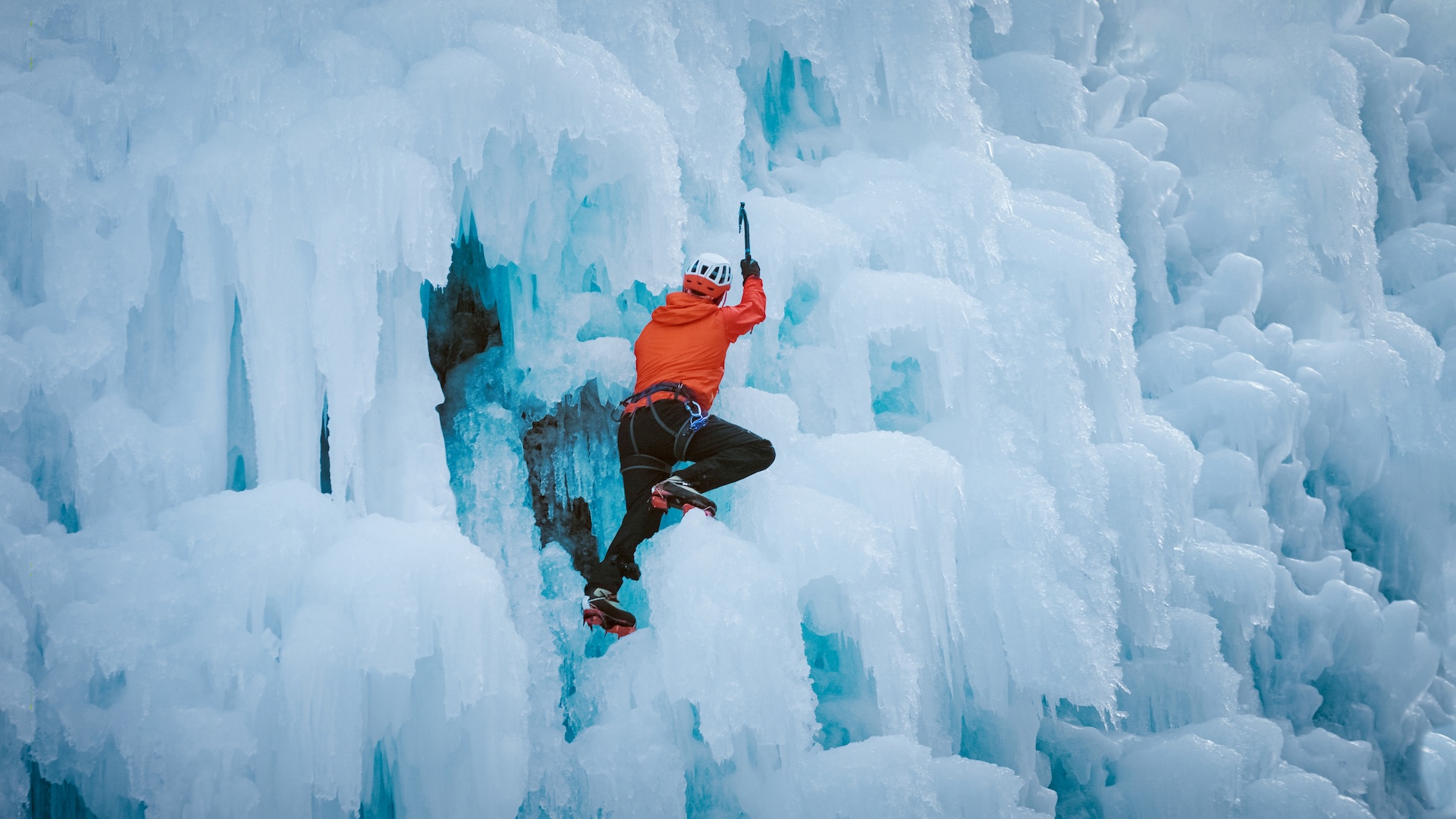 Header image for article